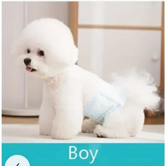 Disposable Male Dog/Puppy Belly Bands/Wraps with Wetness Indicator 10pcs X-Small - Picture 2 of 8